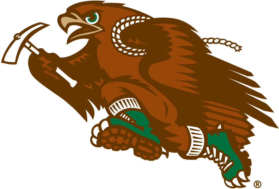 Lehigh Mountain Hawks 1996-Pres Mascot Logo iron on transfers for fabric